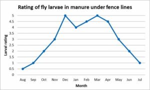 Assess fly numbers - FlyBoss